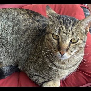 Meet your Posher, Rick